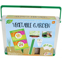 Cargar imagen en el visor de la galería, Kids Vegetable Grow Kit Childrens See Through Garden Grow Box Plant Science Set
