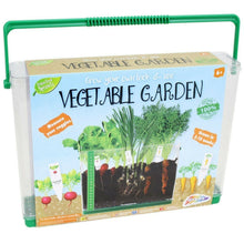 Cargar imagen en el visor de la galería, Kids Vegetable Grow Kit Childrens See Through Garden Grow Box Plant Science Set
