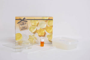 Soap Making Craft Kit