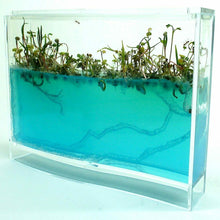 Load image into Gallery viewer, Ant Farm Maze Kids Build Your Own Any Colony
