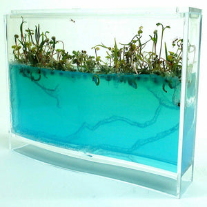 Ant Farm Maze Kids Build Your Own Any Colony